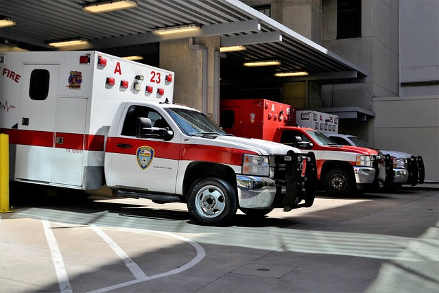 Why Trauma Causes Crisis: Introduction - Manuscript Edition