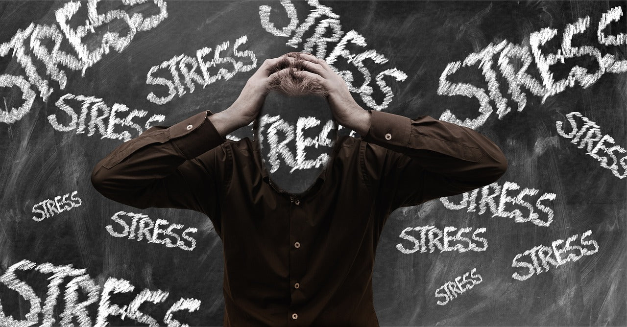 Managing Stress: Full Course - Manuscript Edition