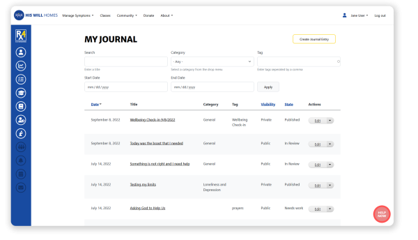 Example of the journal interface
