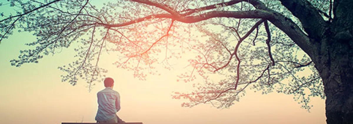 sitting under a tree