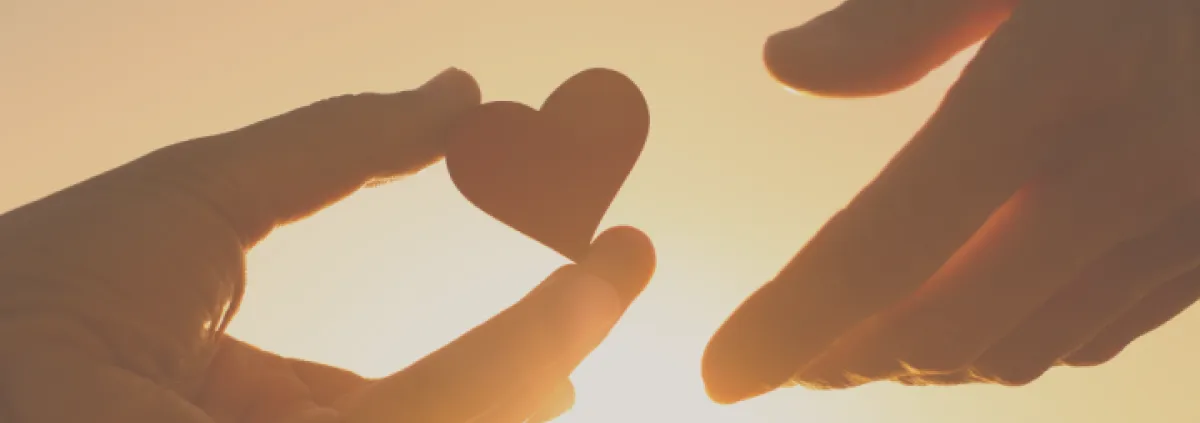 Hands & Heart