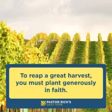 To Reap you must Sow 